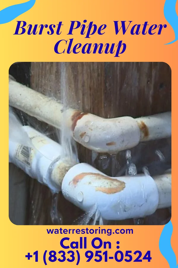 Burst Pipe Water Cleanup in Alsip, IL