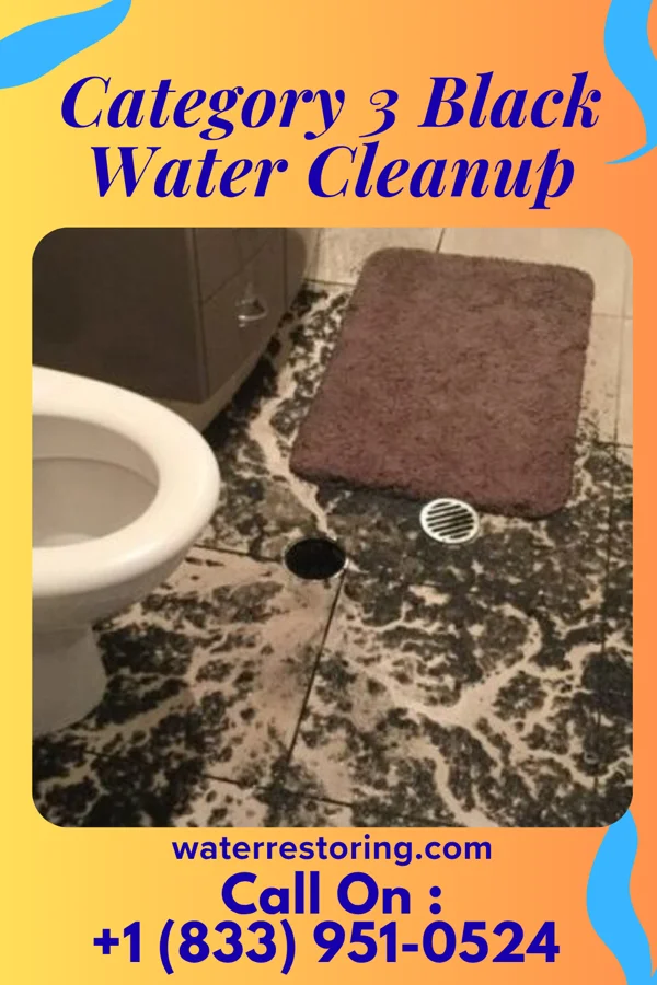 Category 3 Black Water Cleanup in Alsip, IL